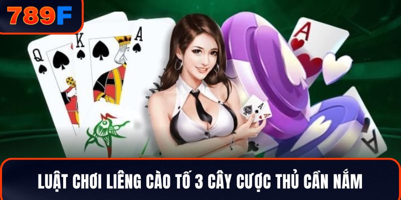 Luật chơi liêng cào tố 3 cây cược thủ cần nắm